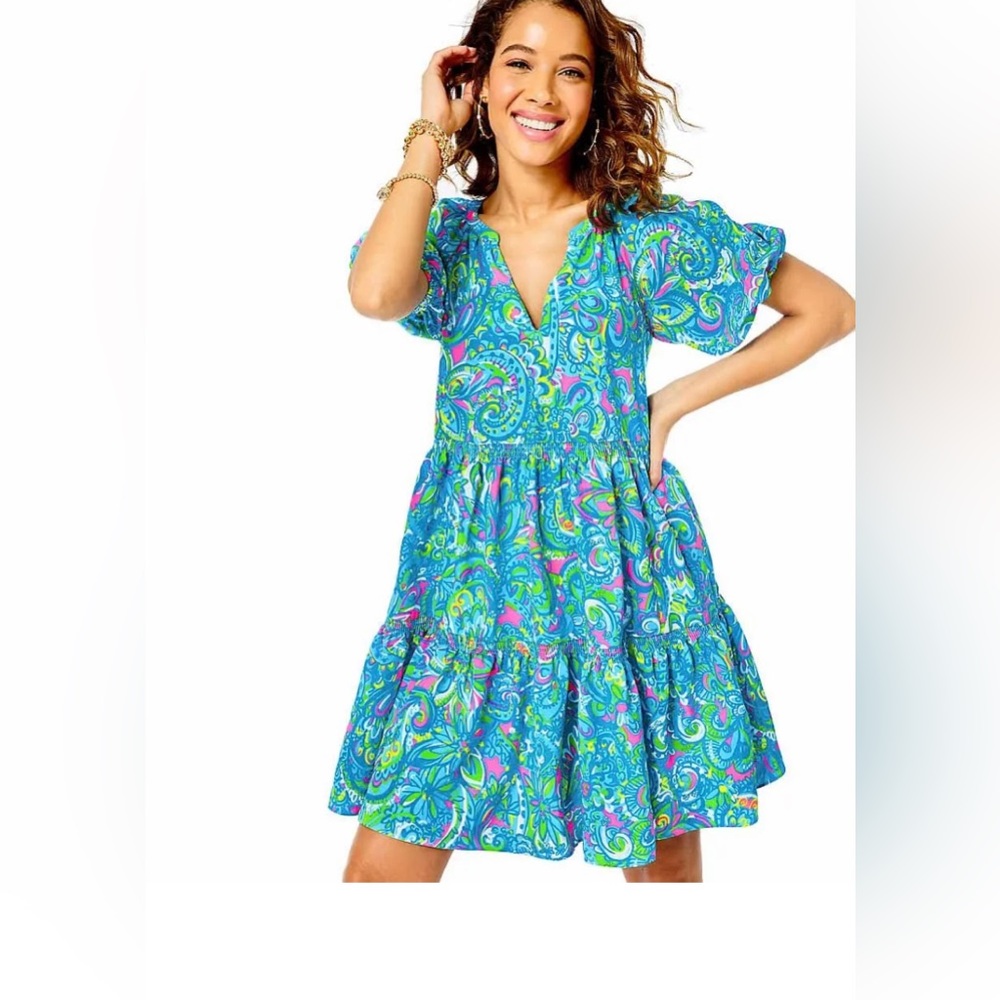 Lilly Pulitzer Shannon dress XL